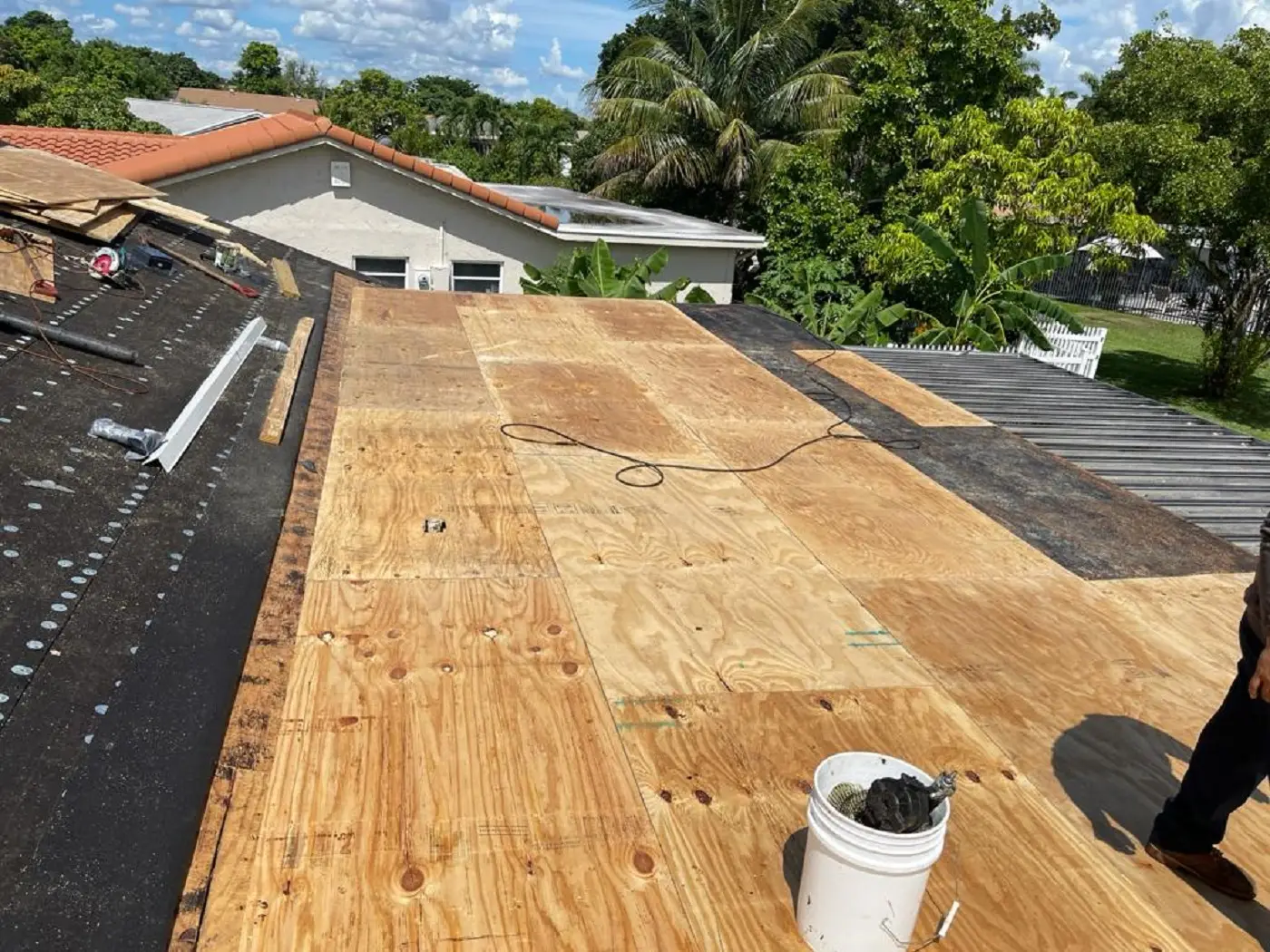 
            Why Fort Lauderdale Properties Need Roof Replacement
            