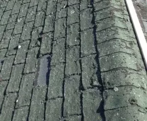 Curled and cracked shingles on aging roof