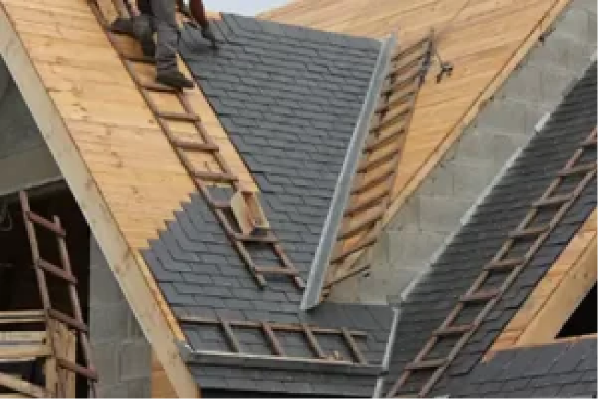 asphalt shingle roof