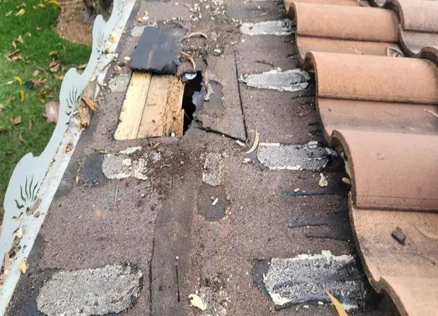 tiles roofing contractor in florida checking the damaged tile roofing needing repair