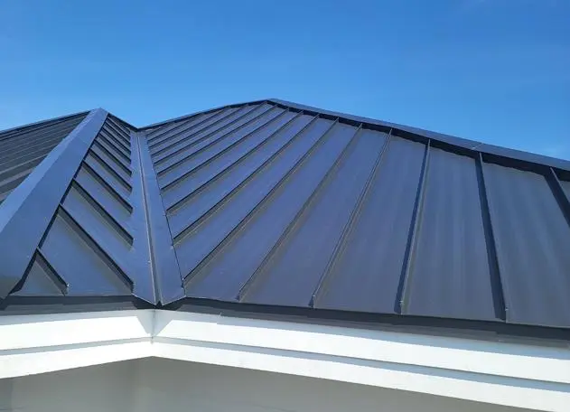 Metal Roof image