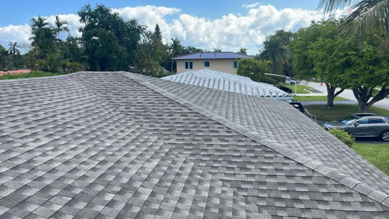 1081 NE 87 Street, Miami-Dade FL - shingles