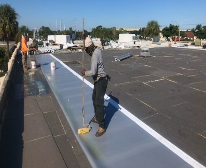 tpo roof commercial